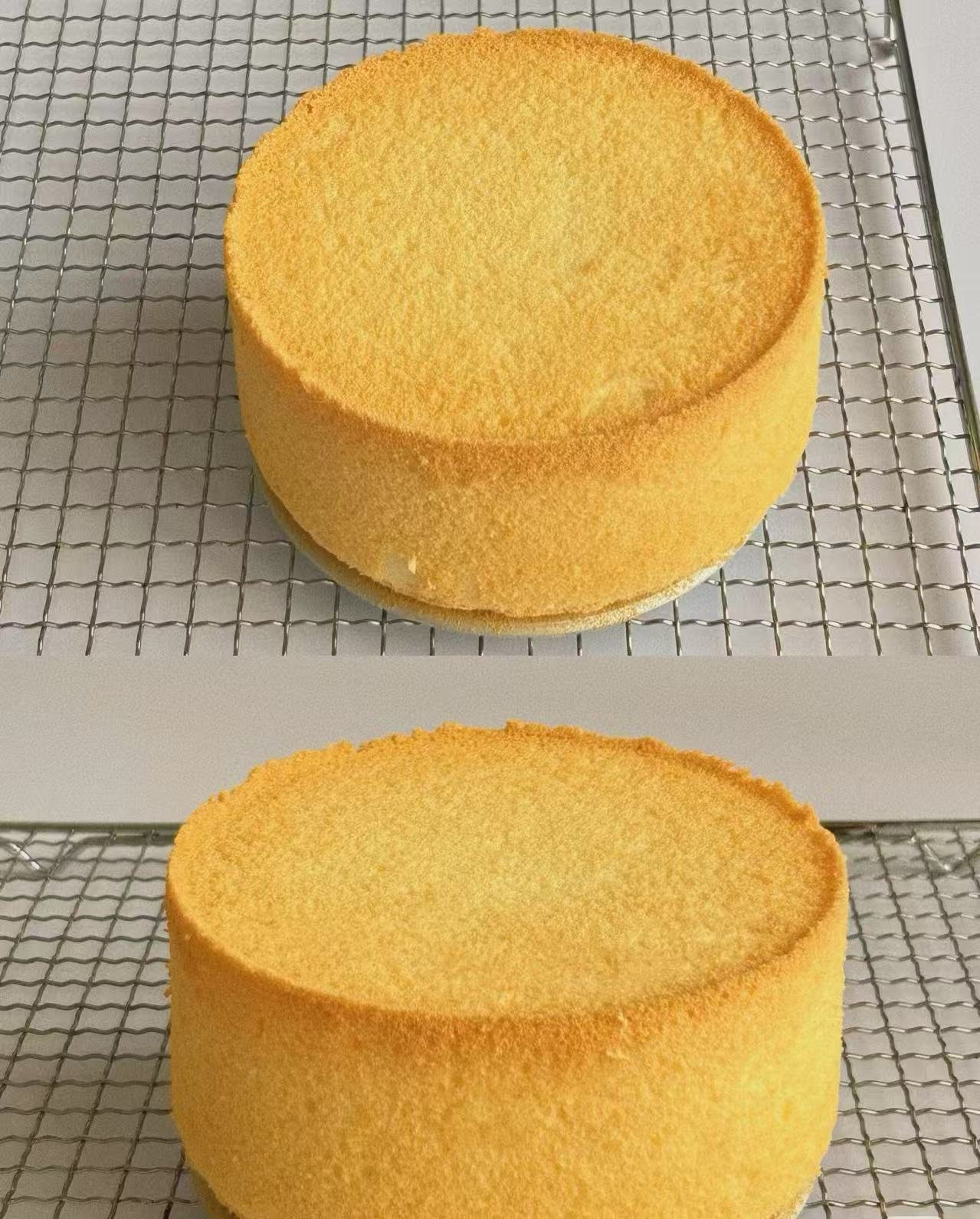 Base de gâteau chiffon 10 pouces